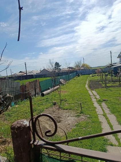 Casa batraneasca - 6