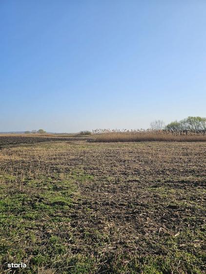 Teren extravilan pentru balastiera Biharia - 3