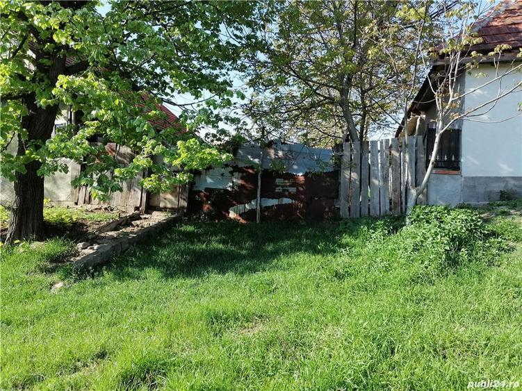 Vand Casa Clopodia - 1