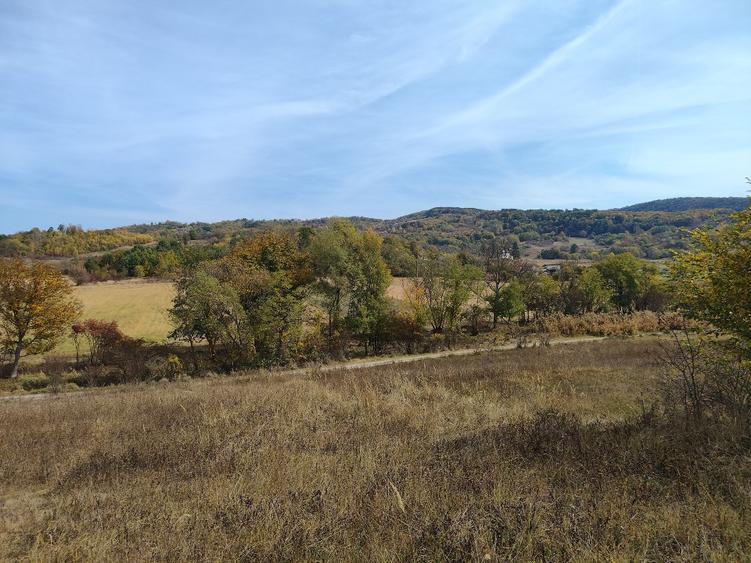 Teren agricol extravilan de 7043 mp, în Mihăești