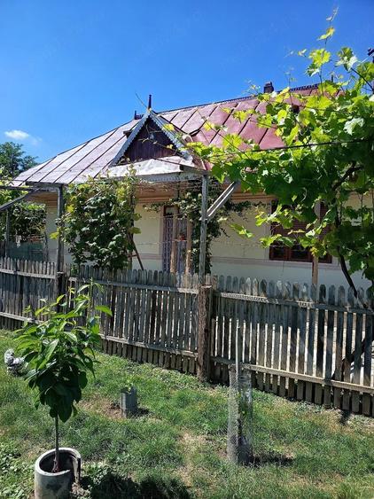 casa de vanzare - 2