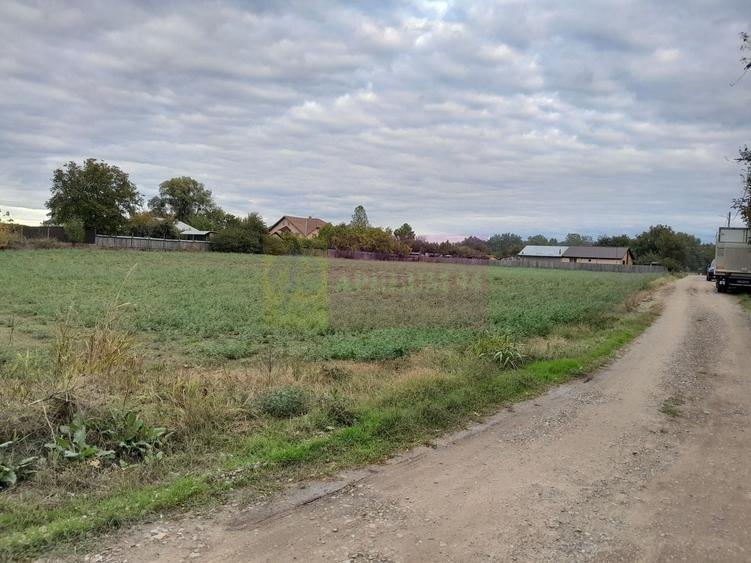 Teren Construcții intravilan de 2062 mp, în Coșereni