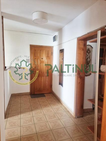 Apartament cu 3 camere decomandat, mobilat în Terezian