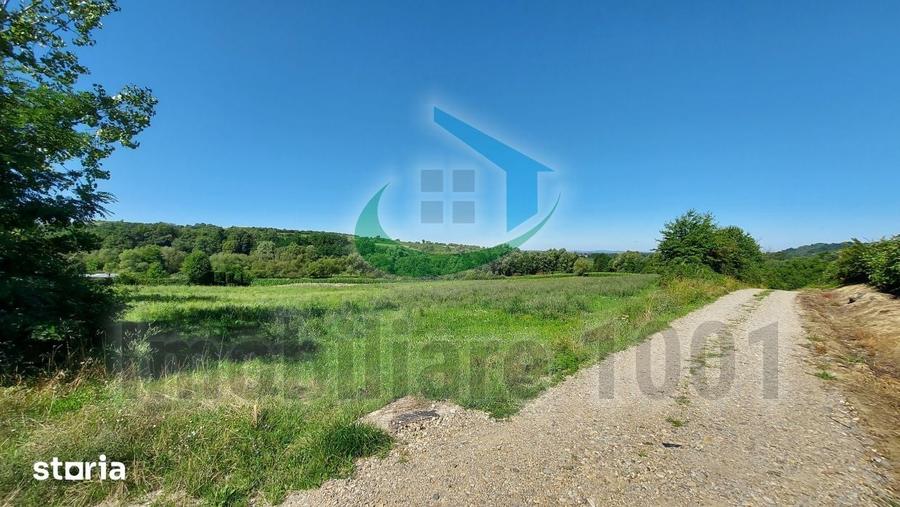Teren intravilan Carbunari, parcele 11, 20, 22 arii, acces drum public - 6