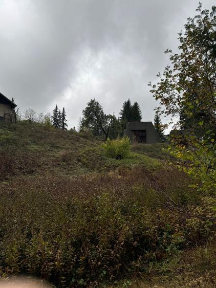 Teren Intravilan, 4629 mp, Certificat Urbanism, potential de crestere valorica, - 3