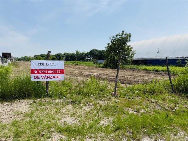 STRADAL -Teren Pentru Dezvoltare Imobiliara cu Urbanism 2025 - 1