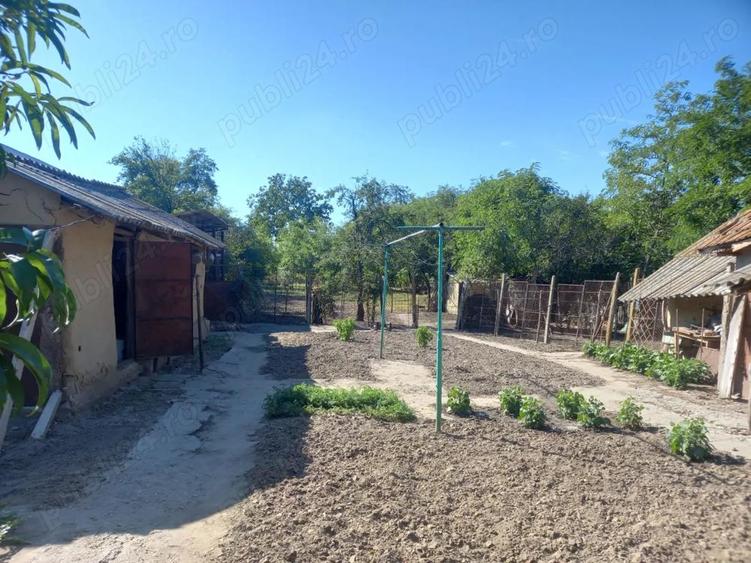 Vand casa Ramnicelu Braila 3000 mp - 3
