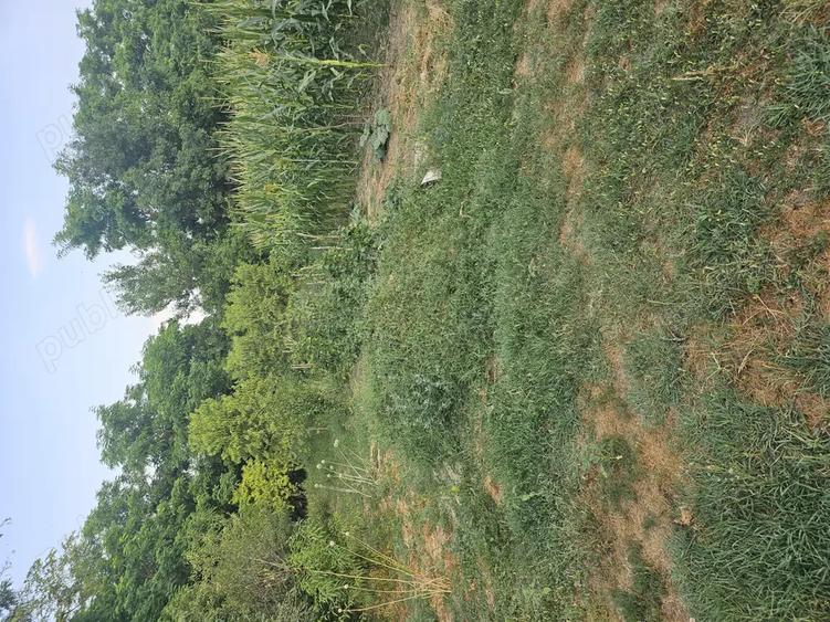 Casa de vanzare + teren ieftina - 5