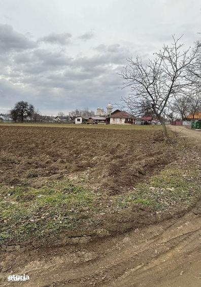 Teren intravilan in Mitoca?i 67500 euro - 10