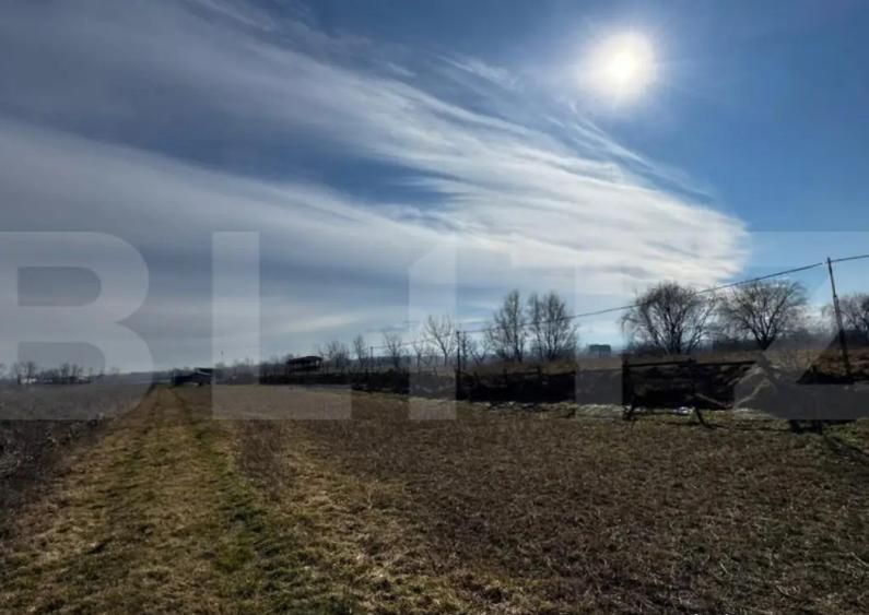 Teren extravilan 3100 mp cu ie?ire la raul Mure? - 1