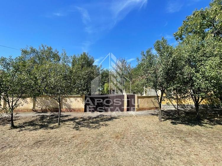 Casa cu teren 3407 mp, la asfalt, Seceani, 26 km de Timisoara. - 2