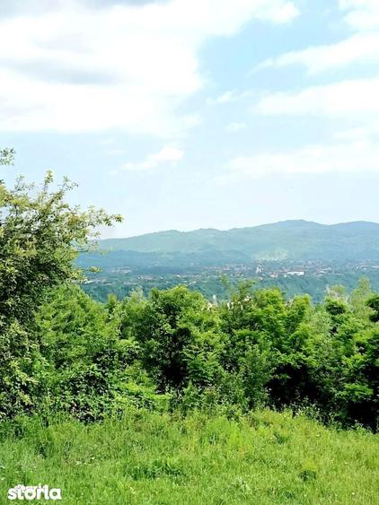 Ansamblu reziden?ial 5 case de vacan?a in Plaiu Campinei, Prahova - 8