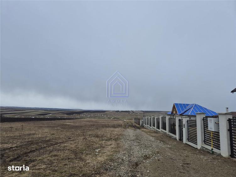 Teren Moara Nica 800 mp - 1