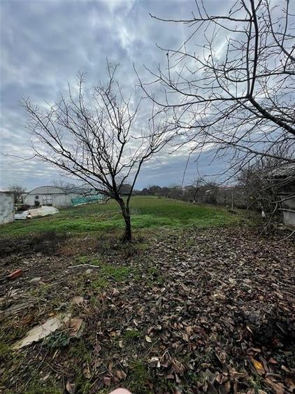 RECO casa in Livada de Bihor - 15