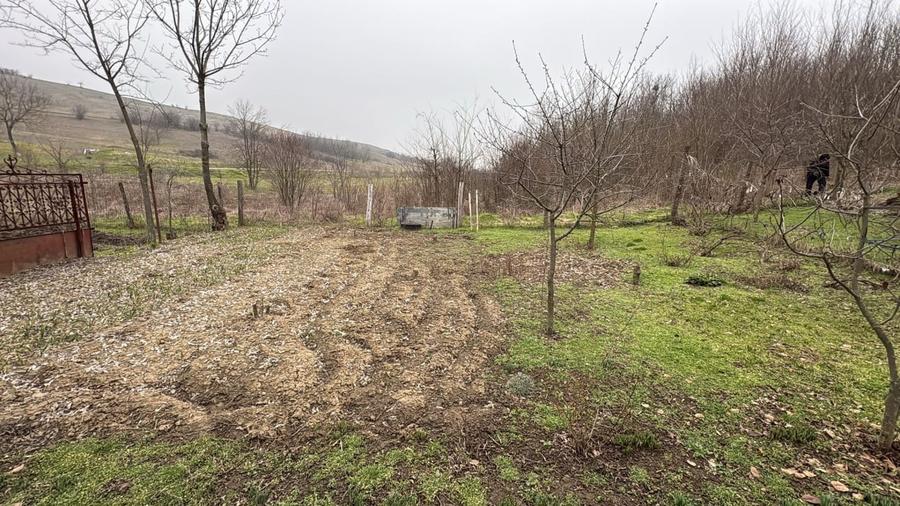 Teren 2.038 mp + Casa 50 mp de vanzare – Sat Luncsoru, Com. Ghercesti - 2