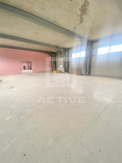 Hala cu curte proprie -zona napolact - 12