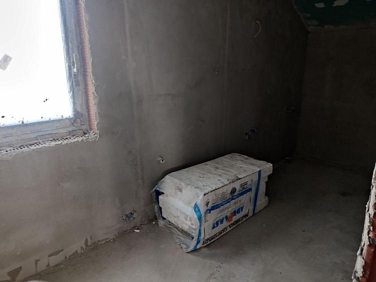 Sanandrei, Casa Individuala,, Suprafete Generoase, - 18