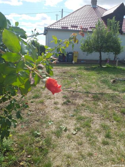 Casa si gradina Petre?ti - 7