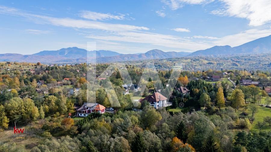 Vanzare teren intravilan 37723 mp Zarnesti Tohanita - 10