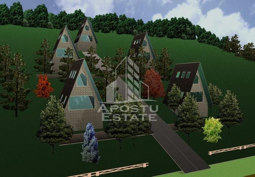 Teren Construibil - Sebis - 4