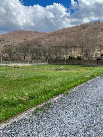 Cabana P+E la CAMPU CETATII cu teren imprejmuit de 2900 mp - 3