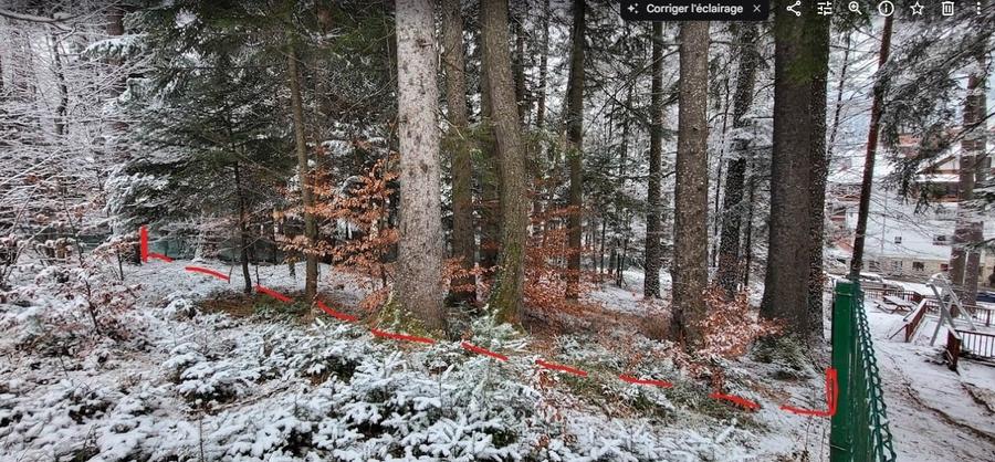 Teren Sinaia/Cumpatu - 8