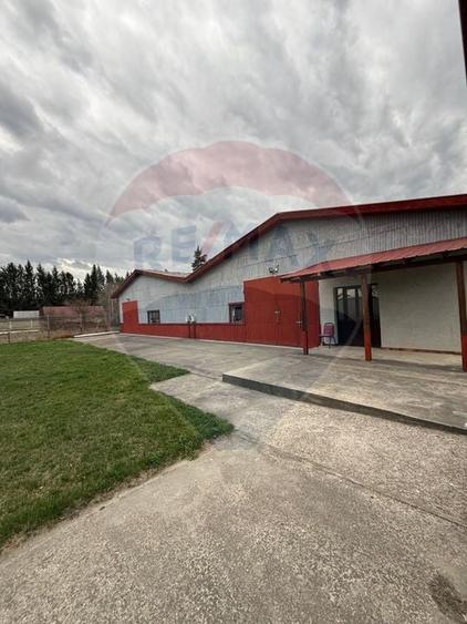 Hală industrială cu birouri si teren Gura Humorului - 15