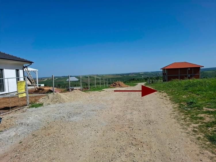 Teren Construcții intravilan de 700 mp, în Săldăbagiu de Munte