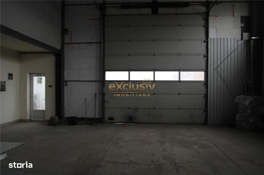Exclusivitate - Hala de inchiriat Cristian - 7