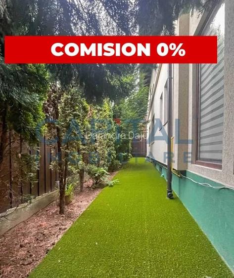 Casa cu etaj, Andrei Muresanu