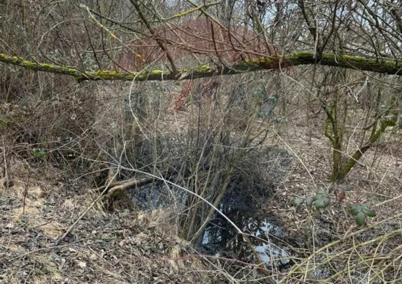 DE VANZARE Teren Strada Victoriei Baia Mare - 7