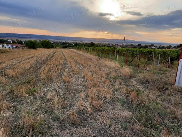 Teren de 1500 mp, în Central