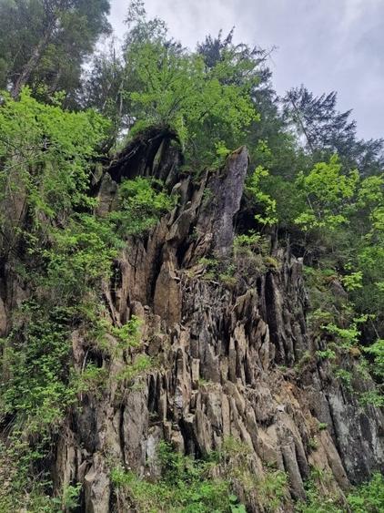 Teren intravilan - Rucar - Satic - 1775 mp - la strada principala - deschidere - 10