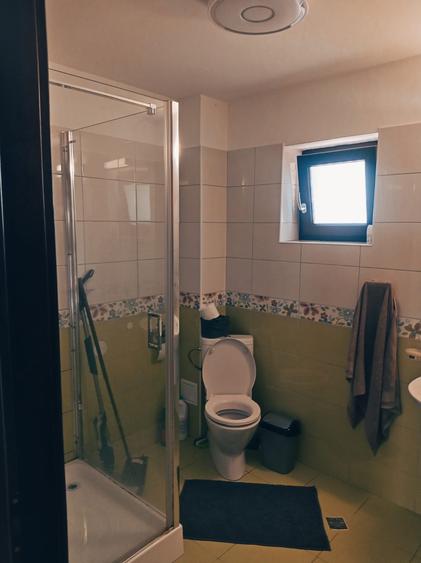 Proprietate Specială Pitești / Bascov - 14