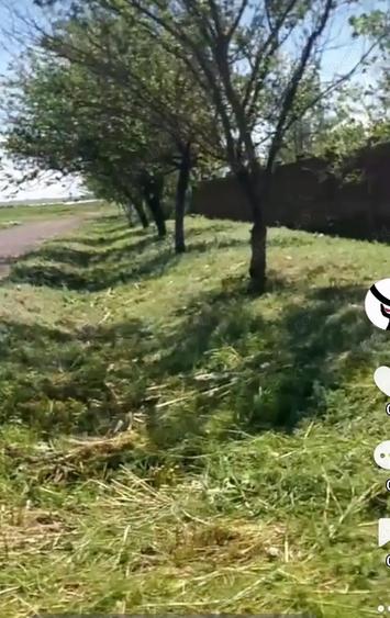 Vindem casa batraneasca langa Slobozia. - 3