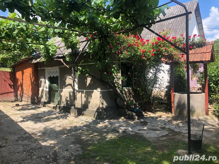 vand casa la ?ara - 9