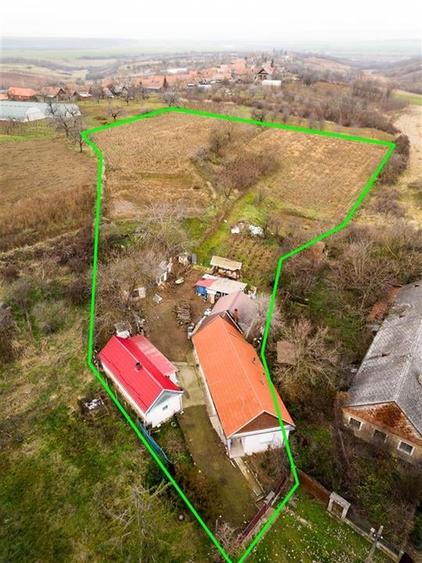 RECO, Casa cu 9168 mp teren intravilan, Sistera, Cetariu, Aproape de Oradea - 14