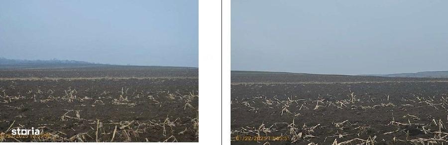 Teren extravilan cota parte 1/4, Calarasi, Botosani, ID: R2924968 - 2