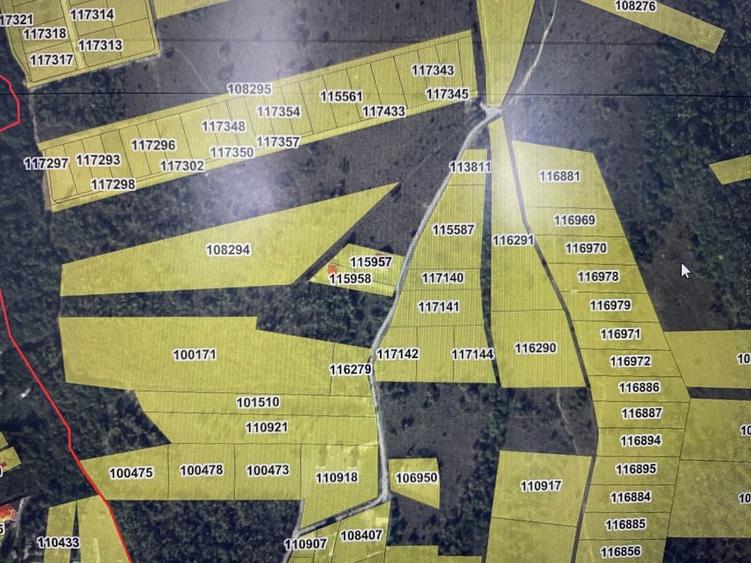 Teren Valea Avrigului - 3