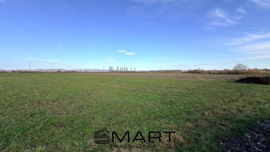 Teren Extravilan 15.000 mp Prejmer - 2