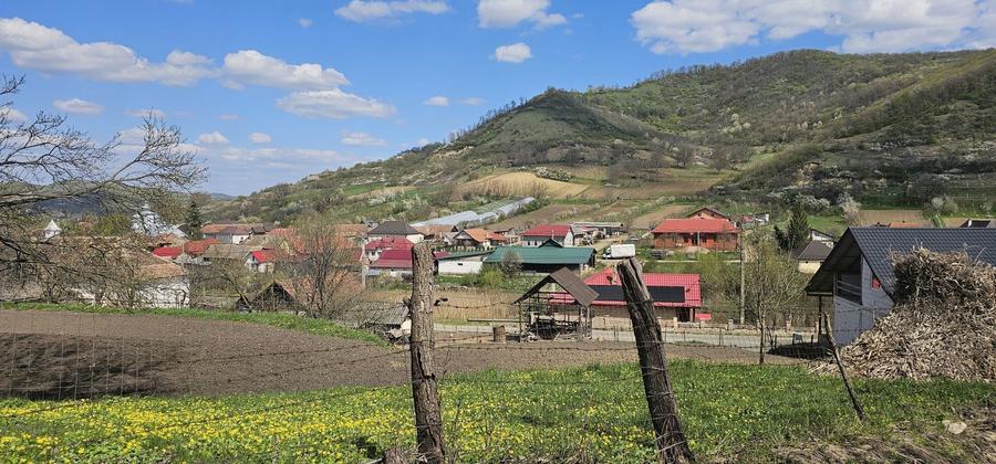 Vermes Teren Intravilan - 5