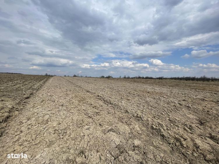 TEREN EXTRAVILAN | 23 ARI | HORODNIC DE SUS - 6