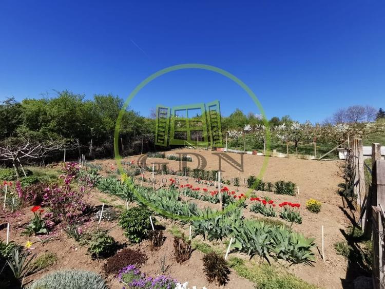 Teren intravilan si extravilan cu anexa gospodareasca amenajata, cu utilitati - 2