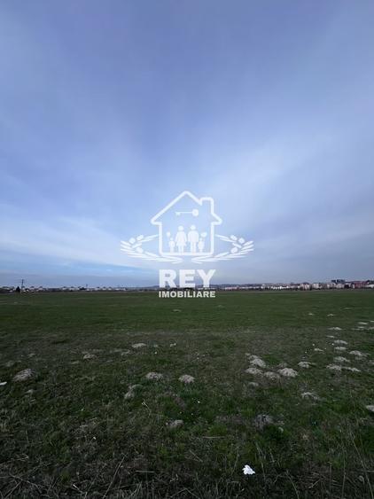 Teren Arabil Turnișor - Spre ferma de pui - 4