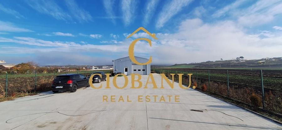 Hala de vanzare in Racarii de Jos - 17