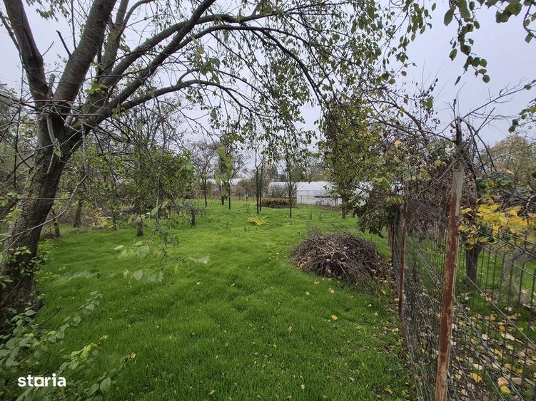 Teren Balotesti-asfalt,bransament utilitati rapid,costuri minime - 10