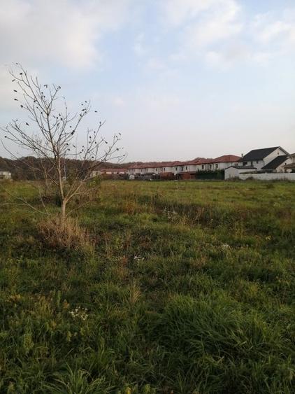 Teren 1470 mp, zona  Polivalenta și grădiniță, locație unica langa pădure - 1