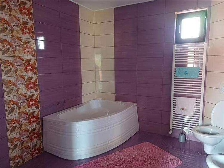 2 Case de vanzare langa liceu in Talmaciu - 9