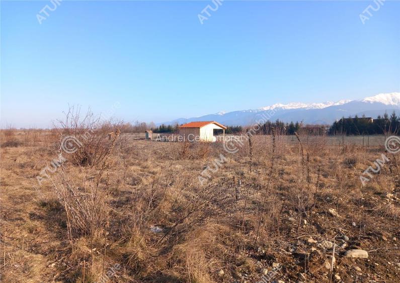 Teren intravilan 7900 mp de pe Valea Avrigului