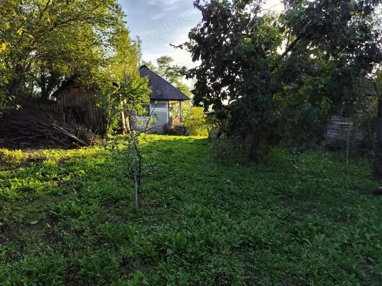 Casa de vanzare - teren 2357 mp in comuna Pietrari - 2